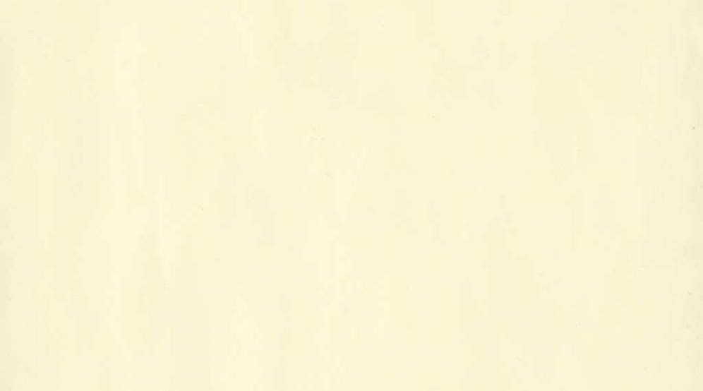  0005 Yellow 